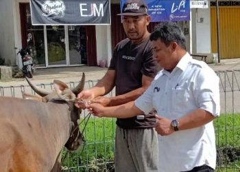 Tahun 2023, Distanak Kukar Giat Kembangkan Sektor Peternakan dan Populasi Ternak