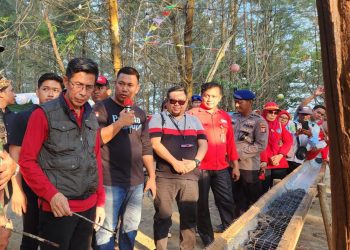 Festival Pesisir Resmi Dibuka, Tingkatkan Ekonomi Masyarakat