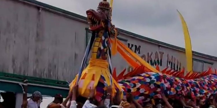 Diarak Menuju Kutai Lama, Prosesi Mengulur Naga Ramaikan Pelaksanaan Erau