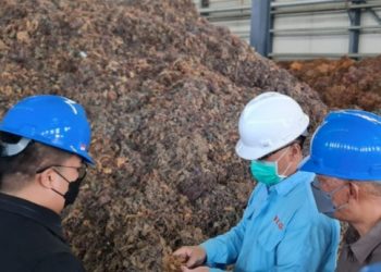 Camat Muara Badak Memberikan Dukungan Penuh untuk Pembangunan Pabrik Pengolahan Rumput Laut