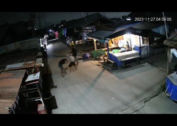 Pengeroyokan Di Pasar Kedondong, Kakak Beradik Jadi Tersangka