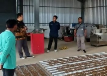 RPB Jahe di Desa Jonggon Jaya Segera Beroperasi, Petani Jahe Makin Semangat Menanam