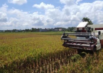 Bappeda Kukar dan UGM Riset Pengembangan Pertanian Terintegrasi Berbasis Kawasan