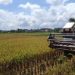 Bappeda Kukar dan UGM Riset Pengembangan Pertanian Terintegrasi Berbasis Kawasan