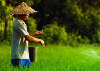 Pemuda Desa Loh Sumber Diajak Beralih ke Pertanian, Ini Alasannya