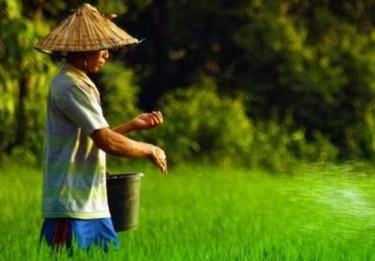 Pemuda Desa Loh Sumber Diajak Beralih ke Pertanian, Ini Alasannya