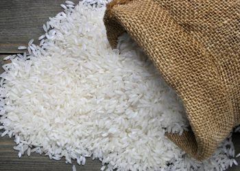 Desa Loh Sumber Produksi Beras Berkualitas dengan Mesin Modern