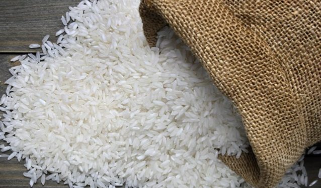 Desa Loh Sumber Produksi Beras Berkualitas dengan Mesin Modern