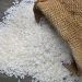Desa Loh Sumber Produksi Beras Berkualitas dengan Mesin Modern