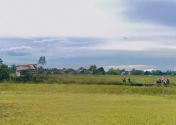 Mengenal Konsep Pertanian Terintegrasi yang Dikembangkan di Tenggarong Seberang