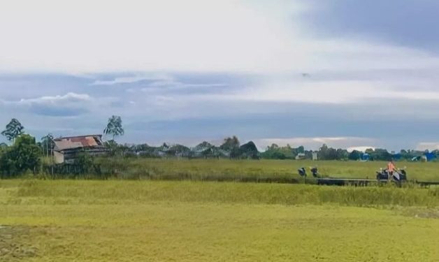 Mengenal Konsep Pertanian Terintegrasi yang Dikembangkan di Tenggarong Seberang