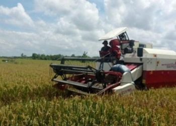 Pemkab Kukar Alokasikan 700 Miliar untuk Peningkatakn Tiga Sektor