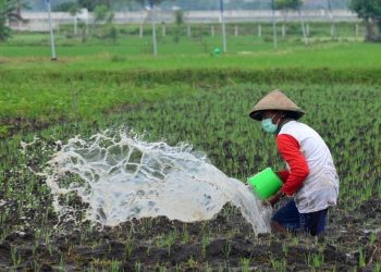 Penggunaan Lahan Tidur di Kukar untuk Meningkatkan Ketahanan Pangan