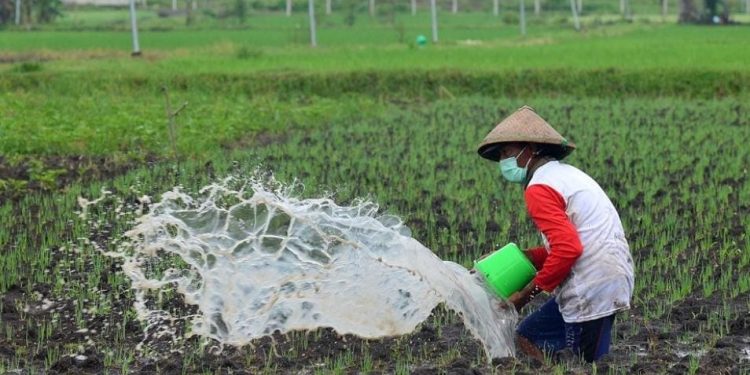 Penggunaan Lahan Tidur di Kukar untuk Meningkatkan Ketahanan Pangan