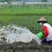 Penggunaan Lahan Tidur di Kukar untuk Meningkatkan Ketahanan Pangan
