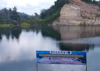 Desa Purwajaya: Keindahan Tersembunyi Danau Biru dan Fosil Pohon Besar