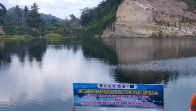 Desa Purwajaya: Keindahan Tersembunyi Danau Biru dan Fosil Pohon Besar