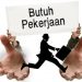 Bupati Kukar Menyoroti Peran Organisasi Masyarakat dalam Penanggulangan Pengagguran