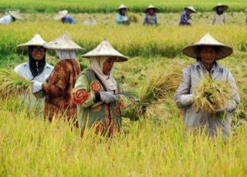 APBD Kukar 2025: Tekankan Penguatan Sektor Ketahanan Pangan