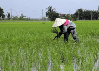 Pemkab Kukar Investasi Rp700 Miliar untuk Revitalisasi Pertanian