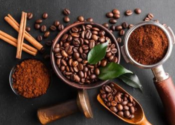 Sekda Kukar Menggalakkan Kualitas Kopi Melalui Kemitraan dan Pelatihan