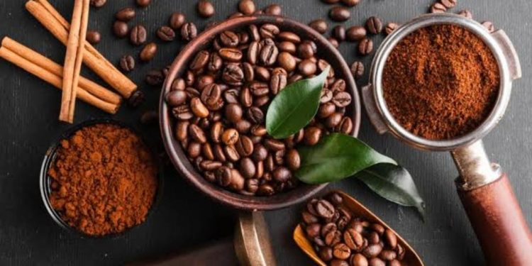 Sekda Kukar Menggalakkan Kualitas Kopi Melalui Kemitraan dan Pelatihan