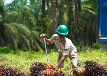 Petani Sawit di Kembang Janggut Hadapi Sengketa Lahan, Kepala Desa Muai Janji Perjuangkan Hak Warga