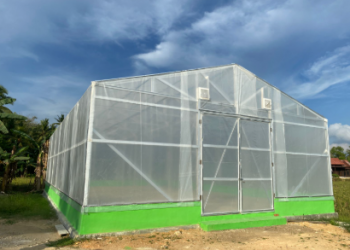 Petani Desa Sumber Sari Manfaatkan Teknologi UV Dryer untuk Optimalkan Pengeringan Padi