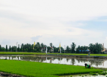 Desa Sebuntal Bangun Bendungan Baru untuk Perkuat Ketahanan Pangan dan Tingkatkan Produktivitas Pertanian