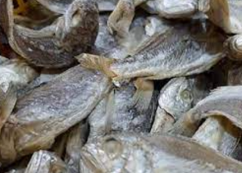 Kukar Tingkatkan Produksi Ikan Asin Berkualitas untuk Kuasai Pasar Jawa