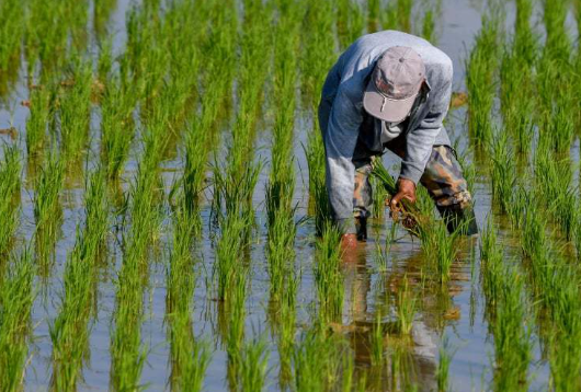 Pemkab Kukar Jalin Kerja Sama dengan IPB untuk Perkuat Sektor Pertanian Hulu