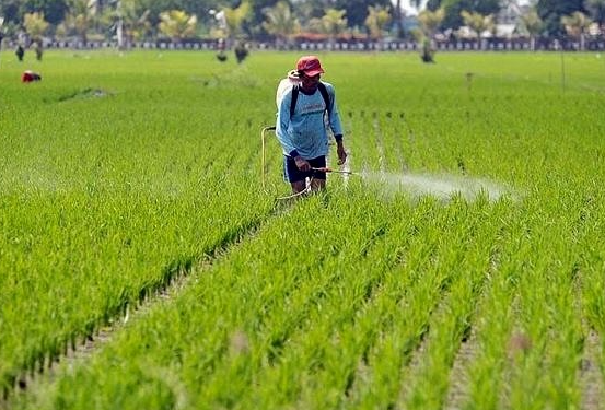 Cipari Makmur: Desa di Kukar yang Siap Jadi Pusat Pertanian Modern