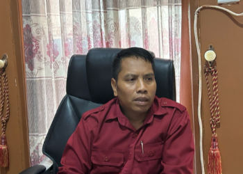 Desa Segihan Berkolaborasi dengan BUMDes guna Optimalisasi Produksi Padi