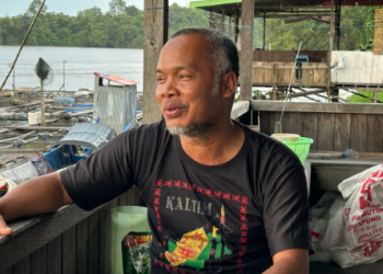 Transformasi Lahan Eks Tambang di Embalut untuk Pertanian Jagung