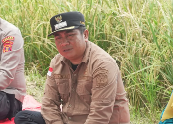 Dari Pesisir ke Pasar Global, Anggana Pacu Ekspor Produk Kelapa UMKM