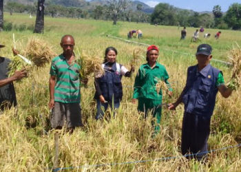 Dorongan untuk Penyuluh Pertanian Kukar Jadi Inovator dalam Menghadapi Perubahan Zaman