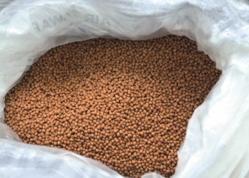 Produksi Pakan Ikan Ditingkatkan, Loa Raya Dorong Kemandirian Pangan dan Ekonomi