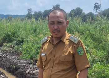 Pemdes Loa Raya Bangun Taman UMKM, Latih Generasi Muda Hadapi Ekonomi Masa Depan