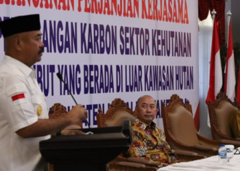 Kerja Sama Perdagangan Karbon: Langkah Bupati Kukar Dorong Konservasi Gambut