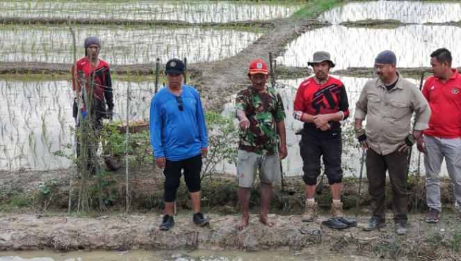Edi Damansyah Tinjau Penggunaan Alat Tanam Modern, Targetkan Tiga Kali Tanam Padi per Tahun